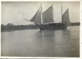 P2158N Navă cu p&acirc;nză cu o &icirc;ncărcătură de lemne navig&acirc;nd pe Canalul Regele Carol &icirc;n Delta Dunării, anii 1920