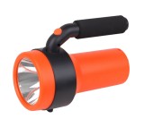 FLASHL CAMP CEIL BTRY COMP FS1 LEDV &quot;000004099854175688&quot; (timbru verde 2.00 lei)
