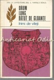 Cumpara ieftin Drum Lung, Batut De Gloante - A. Lupasteanu, L. Tarco, V. Barza