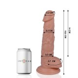 Mr. Intense Dildos-13 Dildo Realist 18.5 Cm -o- 3.2 Cm-PVC