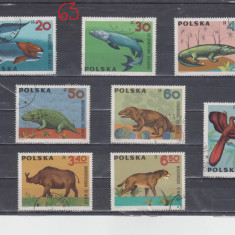 M2 - CNL1 63 - TIMBRE VECHI - POLONIA