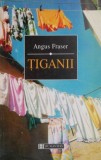 Tiganii. Originile, Migratia si Prezenta Lor in Europa - Angus Fraser - Carte Geografie, Istorie - Stare Buna