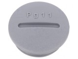Capac Protecție PG11 Poliamidă Gri &Icirc;nchis 6mm