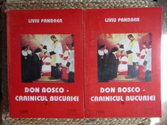 Liviu Pandrea - Don Bosco, crainicul bucuriei (volumul 2) foto