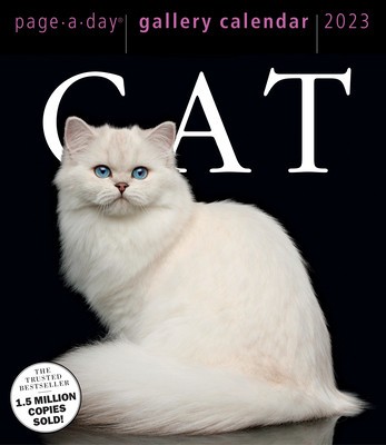 Cat Page-A-Day Gallery Calendar 2023 foto