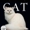 Cat Page-A-Day Gallery Calendar 2023