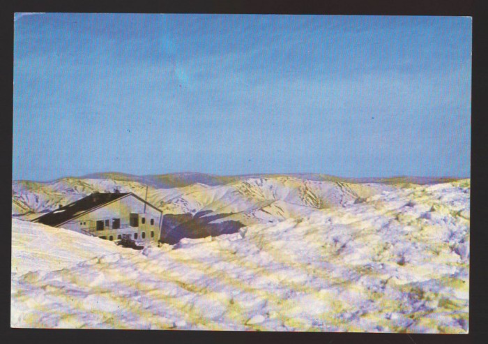 CPIB 22854 - CARTE POSTALA - SINAIA. CABANA &quot;MIORITA&quot;, NECIRCULATA