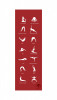 Saltea Yogamat, Rosu, 180 x 60 x 05 cm