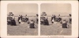 ST83N Jung Deutschland an der See, stereoscopic photo