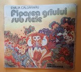 FLOAREA GRIULUI SUB STELE - Editura Ion Creanga, anul 1983, carte de povesti pentru copii, ilustratii Nicolae Sirbu