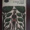A doua carte a junglei Kipling