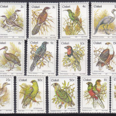 DB1 Ciskei 1981 Fauna Pasari 17 v. MNH