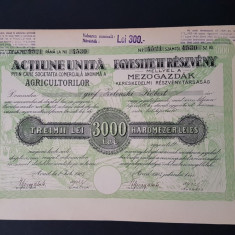 Actiune Societatea agricultorilor Arad 1923 / titlu / actiuni