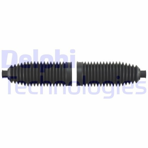 Delphi Ansamblu burduf, directie