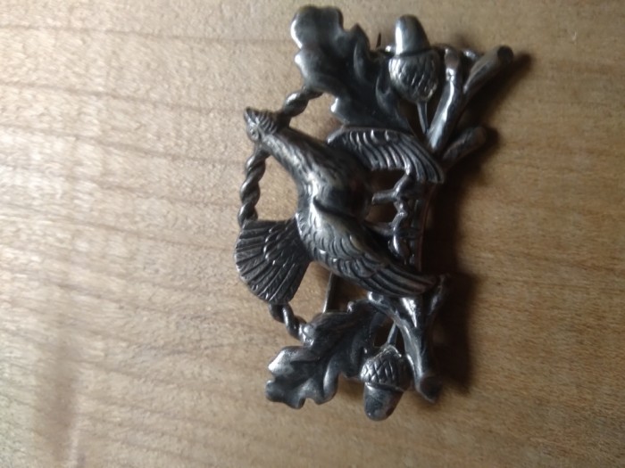 Insigna Vanatoare Cocos de munte