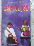 SFANTUL JOE - Mary Blakeslee, VIZUAL 1996, Roman, Cartonata, 125 pagini