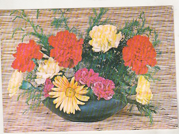 bnk cp Felicitare - Flori - 0207/79 - uzata - marca fixa