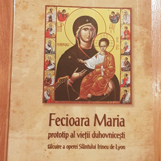 Fecioara Maria, prototip al vietii duhovnicesti de Pr. Adrian Dinu