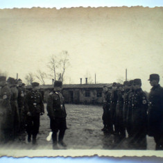 P036 FOTOGRAFIE RAZBOI WWII OFITER MILITARI TRUPE RAD REICHSARBEITSDIENST