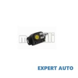 Cilindru receptor frana punte spate Ford Orion (1983-1986) [AFD]