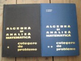 Algebra si analiza matematica.Culegere de probleme D.Flondor,N.Donciu