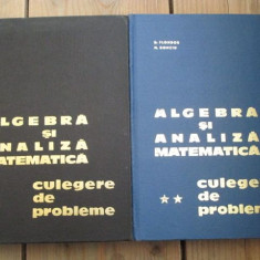 Algebra si analiza matematica.Culegere de probleme D.Flondor,N.Donciu