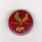 bnk ins Insigna Exotica Romania