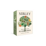 Sibley Tree Identification Flashcards: 100 Trees of North America