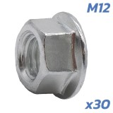 Cumpara ieftin Piulite ax motor Dualtron M12 - 30 buc