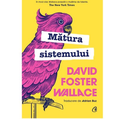 Matura sistemului. Ed a II a, David Foster Wallace foto