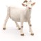 PAPO FIGURINA CAPRA ALBA