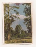 FA150 - Carte Postala - RUSIA - Peisaj din imprejurimea Moscovei, circulata 1965