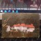 Sinaia, Hotel Caraiman, circulație 20 aug. 1924, 205