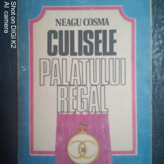 Culisele palatului regal 1930-1940-Neagu Cosma