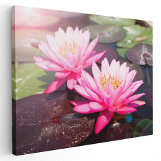 Tablou floare de lotus roz Tablou canvas pe panza CU RAMA 60x80 cm