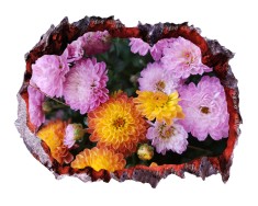 Autocolant decorativ, Gaura in perete, Arbori si flori, Multicolor, 83 cm, 345ST-1 foto