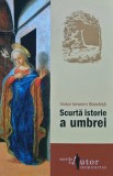 Cumpara ieftin Scurta istorie a umbrei - 2008 - Victor Ieronim Stoichita (G239)