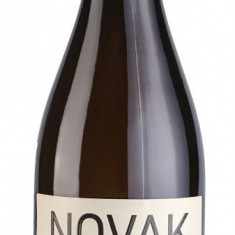 Vin alb - Novak, Onitcani & Rkatiteli, sec, 2018 | Novak