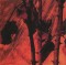Foto  - 10