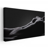 Tablou nud femeie, fundal negru 2031 Tablou canvas pe panza CU RAMA 30x60 cm
