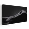 Tablou nud femeie, fundal negru 2031 Tablou canvas pe panza CU RAMA 70x140 cm