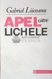 Cumpara ieftin Apel catre lichele - Gabriel Liiceanu ($J35), Humanitas