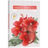 Set 6 lumanari parfumate tip pastila P15-356 HIBISCUS SALVIE DNC59163