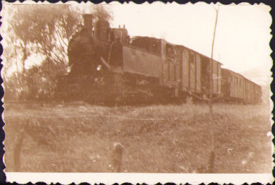HST M739 Poză locomotivă cu aburi cu vagoane, CFR, perioada regalității foto