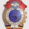 INSIGNA 50 ANI 1906 1956 DE LA PRIMA CONFERINTA SINDICALA PE TARA UGSR BRONZ BOMBATA SINDICAT SINDICATE ( CITITI DESCRIEREA )