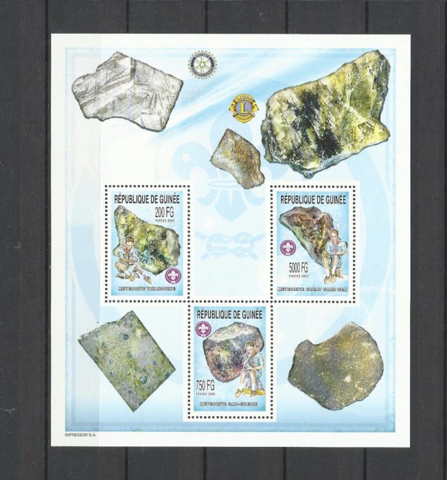 GUINEA 2002 METEORITI
