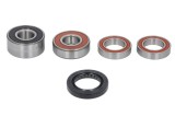 Kit rulment roata spate (cu etansanti) pentru HONDA CTX 1300 2014-2014