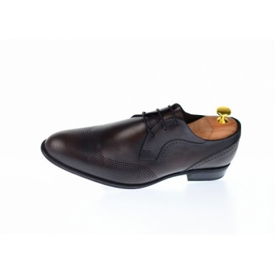 Pantofi barbati office, eleganti din piele naturala SIR020GML foto
