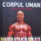 Corpul Uman. Organe. Sisteme. Functii - Colectiv ,557055