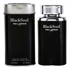 Ted Lapidus Black Soul Eau de Toilette pentru bărbați 100 ml